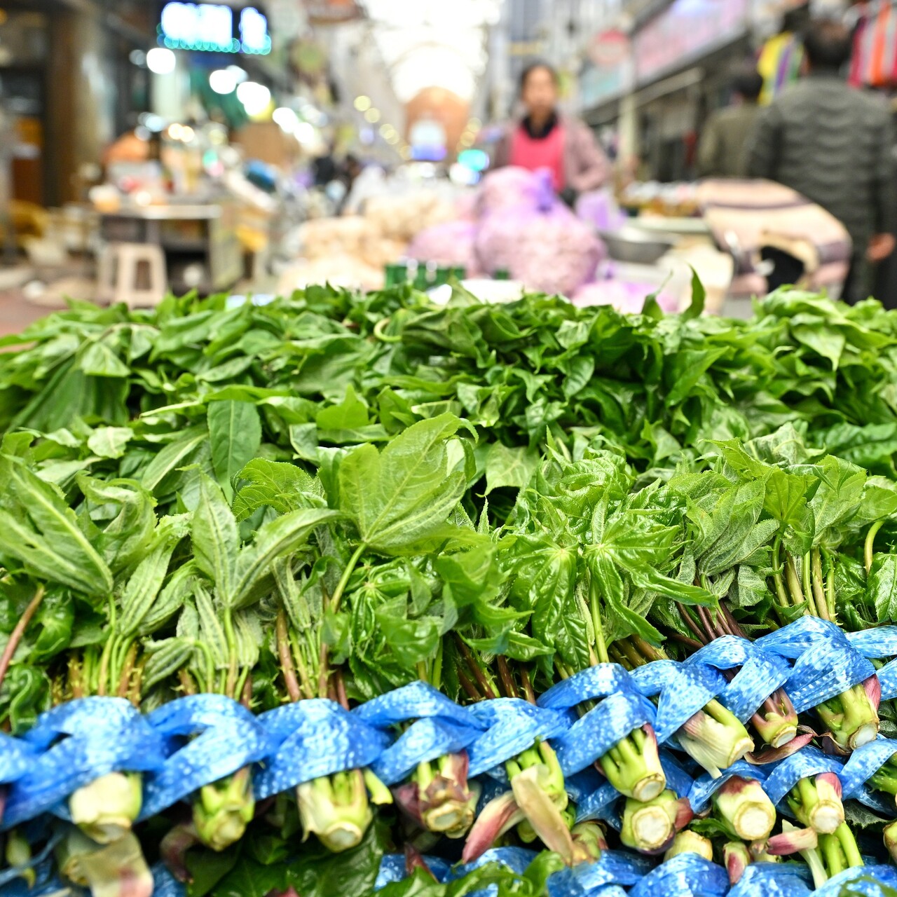 봄나물이 가득한 곳, 정선 5일장 구경 < 방방곡곡 < 기사본문 - 픽모아문화관광뉴스